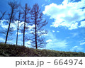 664974