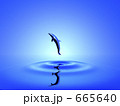 波紋とイルカ