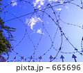 有刺鉄線