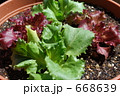 668639