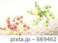 669462