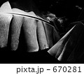 670281