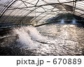 養魚場