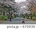 桜三月散歩道B