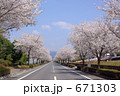 桜並木