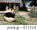 ぱんだ。。