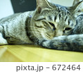 ううん
