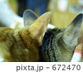 なかよし