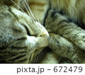 おねむ