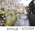 京都・祇園白川のサクラ