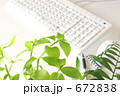 オフィスに緑を　２