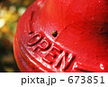 てんとう虫