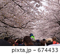上野公園の花見