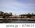 千鳥が淵の桜