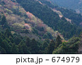 混成林の春