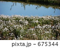 675344