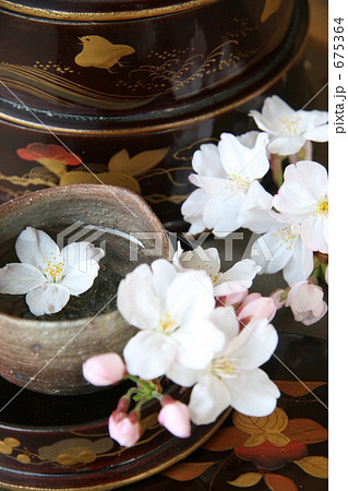 「酒 桜 ソメイヨシノ 花見 」の写真素材 「酒 桜 ソメイヨシノ 花見 」の写真素材