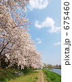北越谷元荒川堤