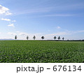 メルヘンの丘　北海道