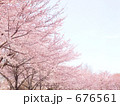 桜咲く 桜咲く