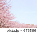 桜咲く