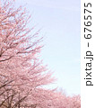 桜咲く