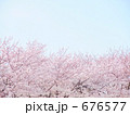桜咲く