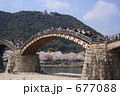 春爛漫の錦帯橋