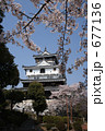 岩国城と桜