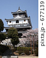 岩国城と桜
