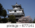 岩国城と桜