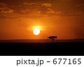 677165