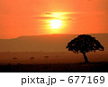 677169