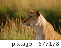 677178