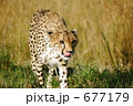 677179