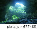 緑の洞窟