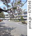 入学進級おめでとう満開の桜の下　小学校＃２