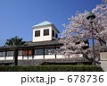 桜咲く岩国学校
