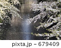 散り際の美
