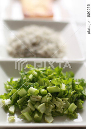 「Green Eco」の写真素材 「Green Eco」の写真素材