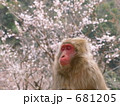 春眠暁をおぼえず？
