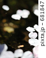 花びらの流れる川