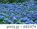 あじさい園