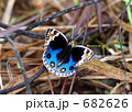682626