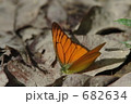 682634