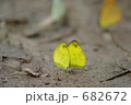 682672