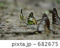 682675
