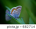 682714