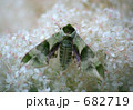 682719