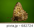 682724
